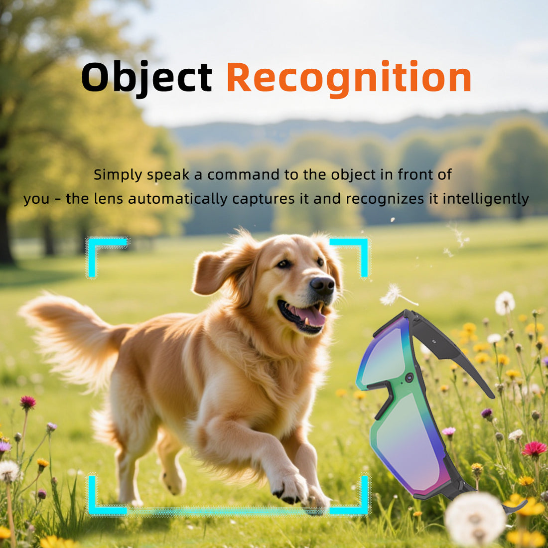 SENBONO V06 Smart Camera Glasses 8MP high-definition recording Photography, voice assi Real-time translation stant Suitable for cycling, hiking, and fishing Compatible with Android or iOS